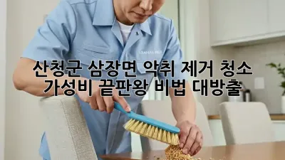 🏡 산청군 삼장면 악취 제거 청소, 가성비 끝판왕 비법 대방출! ✨